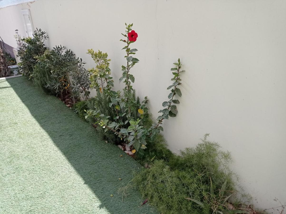 Hotel Delphin-Nouadhibou Luaran gambar